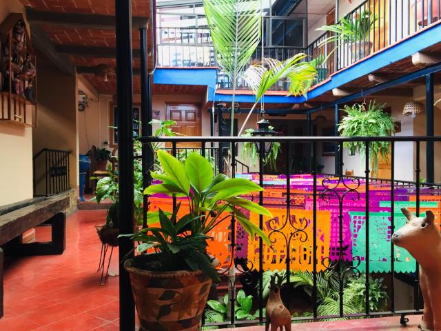 Hotel Cazomalli Oaxaca — photo 16
