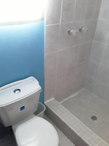 La Grande Pettite Villa — photo 18