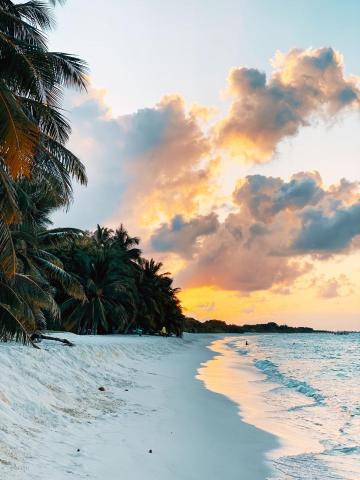 Blue Coral Vashafaru Maldives — photo 16
