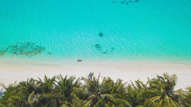 Dhiguveli Maldives — photo 24