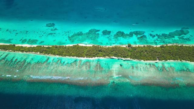 Dhiguveli Maldives — photo 22