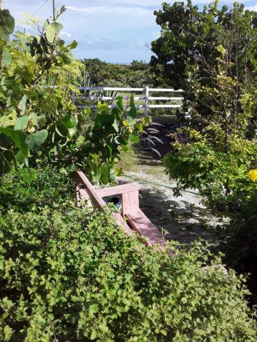 La Grande Pettite Villa — photo 11