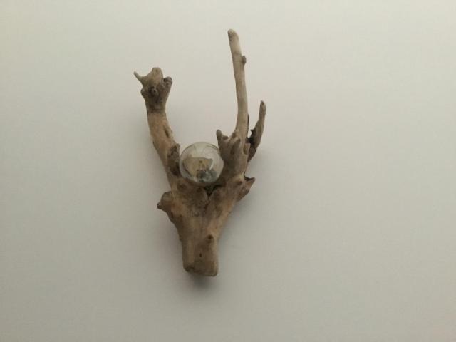 LE MAS DES AUGES — photo 11