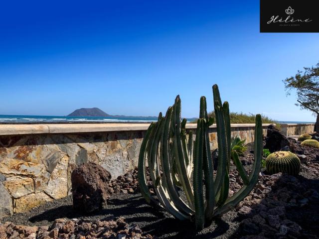 Hélène Holidays - Hotel Boutique — photo 16