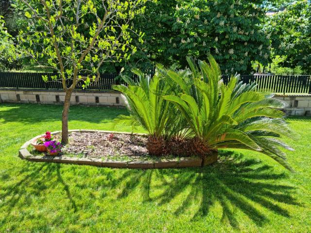 Il Casale nel Parco Guesthouse — photo 19