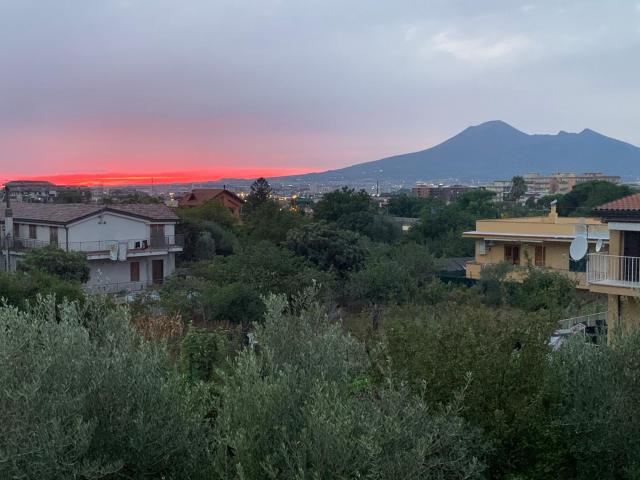 Hotel Due Pini Conte — photo 6