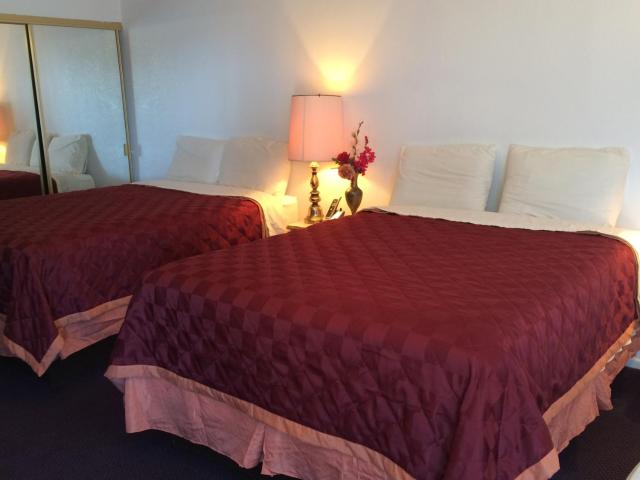 Crystal Palace Inn — photo 19