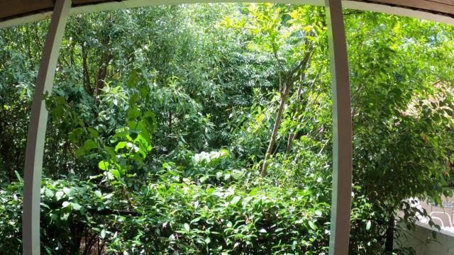 Seamore Pension — photo 19