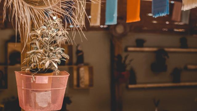 Los Ciruelos Oaxaca — photo 15