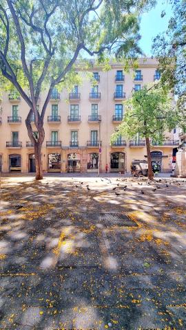 Hotel Sant Agustí — photo 6
