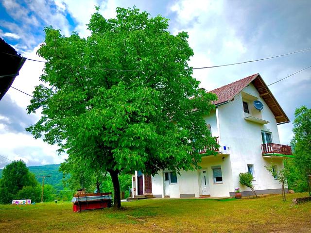 Guesthouse D&D — photo 1