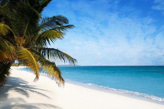 Blue Coral Vashafaru Maldives — photo 15