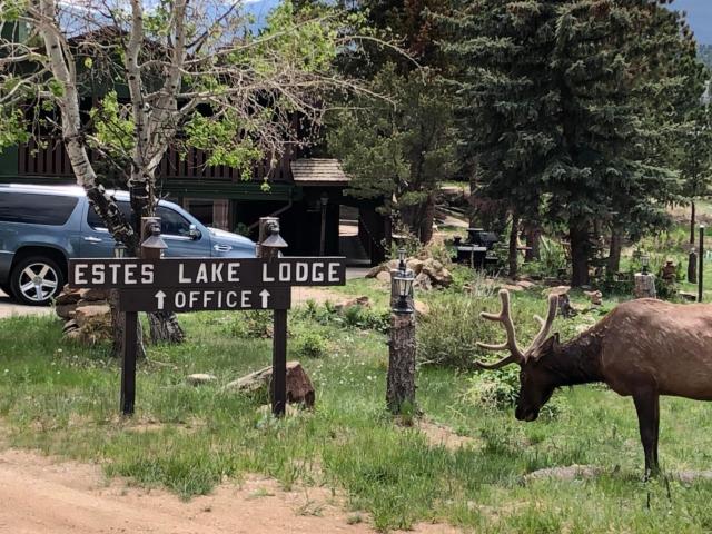 Estes Lake Lodge — photo 1