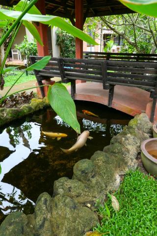 Flora Ville-SHA PLUS — photo 22