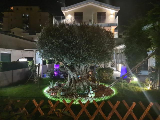 Residenza Carlucci — photo 10