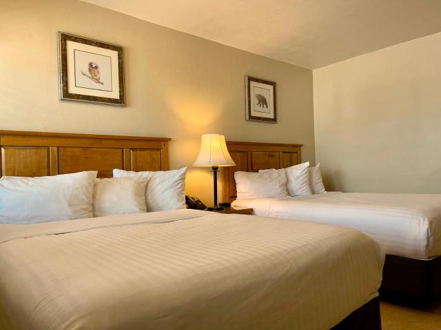 Arizona Sunset Inn & Suites — photo 15