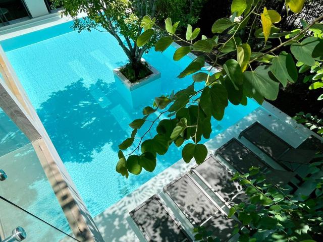 POR Daowadung — photo 13