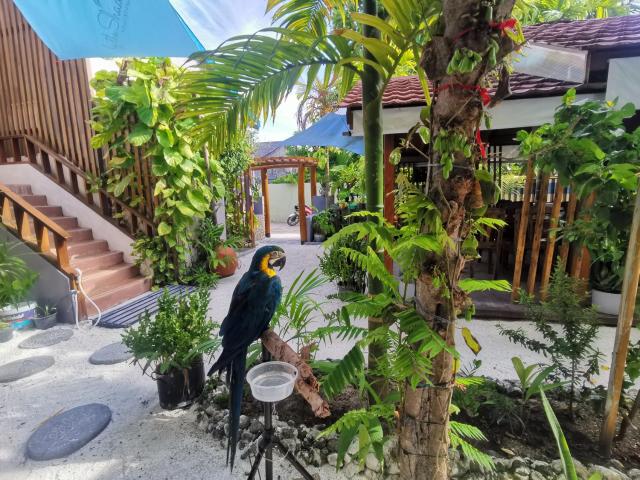 By The Shade Maldives — photo 19