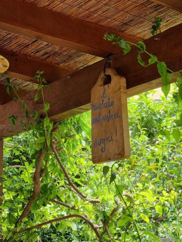 Villa Pina — photo 15