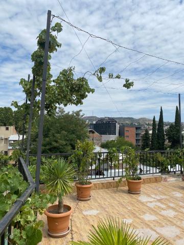 Terrace House Near Opera — photo 22