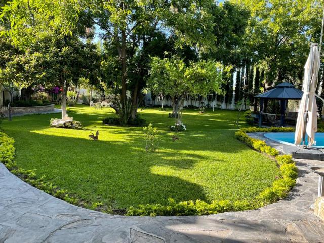 Finca del Rocio — photo 10