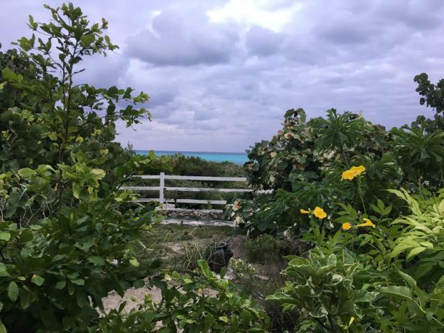 La Grande Pettite Villa — photo 9