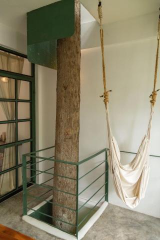 Big Tree Boutique Hotel — photo 21