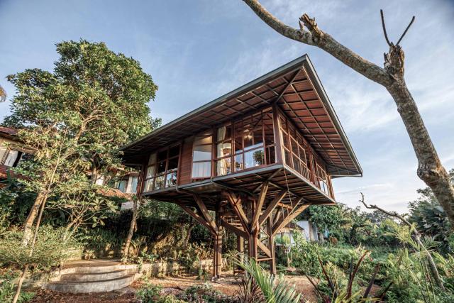 Grün Ubud — photo 4