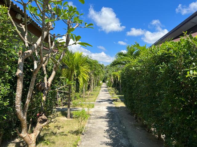 CheeVa Beach Resort — photo 7