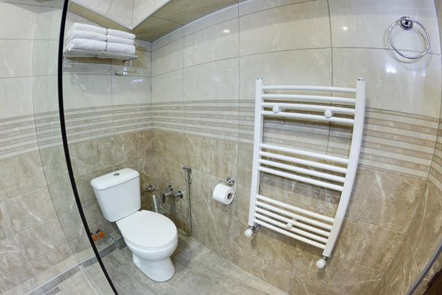 Sina Hotel — photo 24