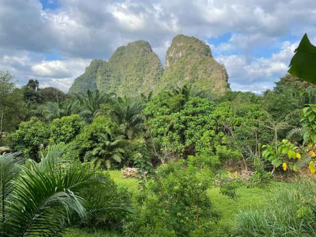 Khaosok Good view Resort - SHA PLUS — photo 17