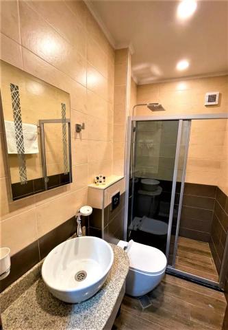 Hotel King David Bakuriani Mountain View — photo 8