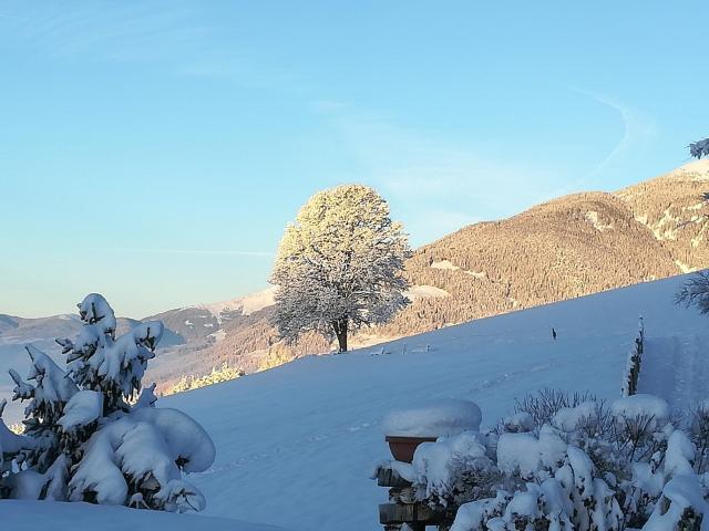 Hotel Amaten — photo 4
