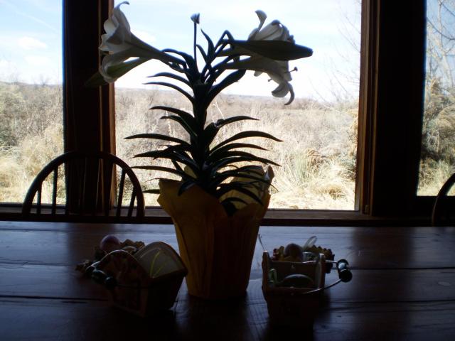 Silver River Adobe Inn Bed and Breakfast — photo 12