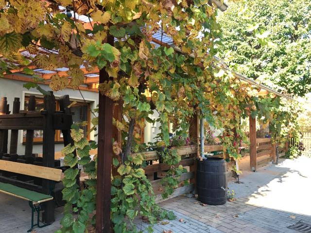 Pension Unstrutpromenade — photo 22