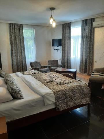 Large Double Room — Tokaplus