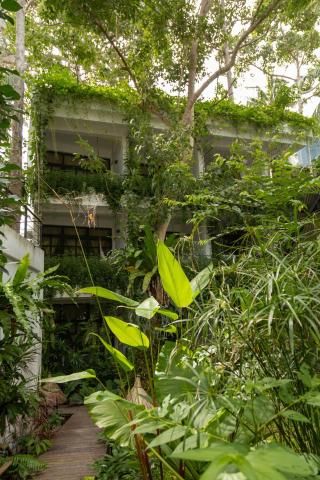 Big Tree Boutique Hotel — photo 14