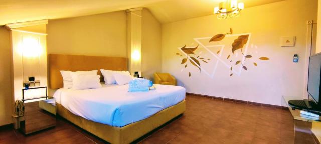 Hotel Don Manuel — photo 18