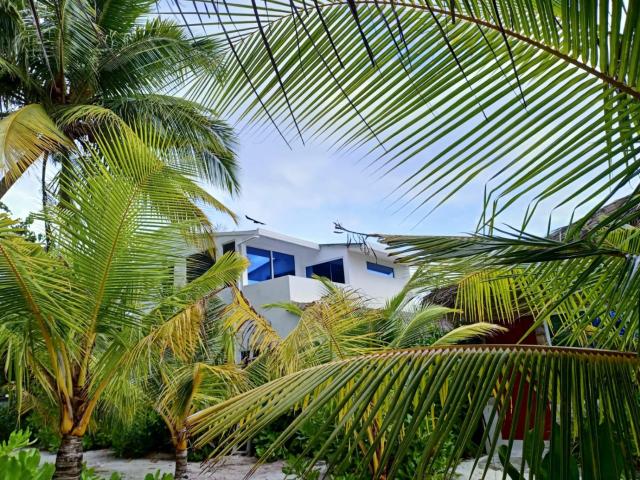 Island life Maldives Retreat & Spa — photo 19