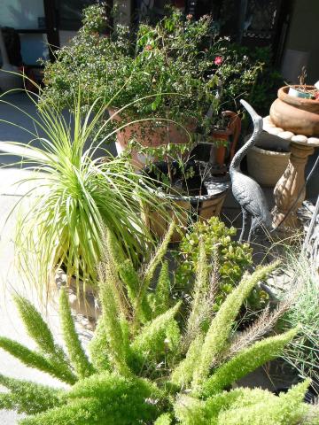 Colusa Riverside Inn — photo 10