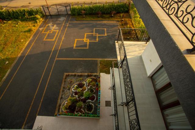 Pollux — photo 14