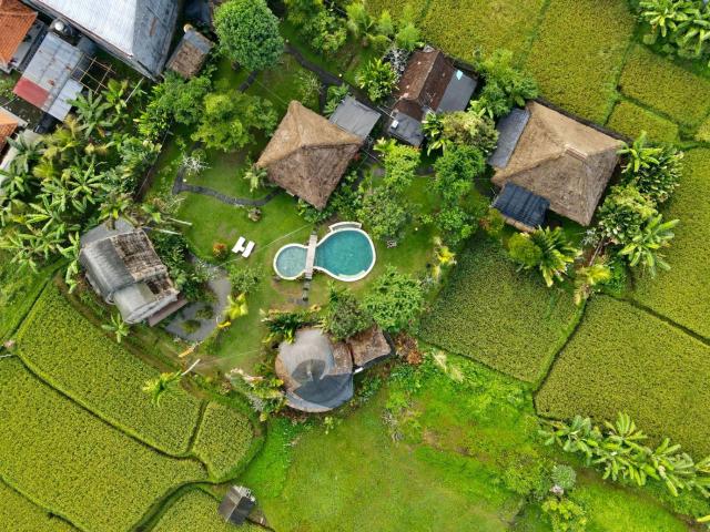 Ubud Hidden Villa Yone village — photo 18