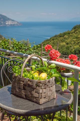 Villa Costanza sorrento B&b — photo 11