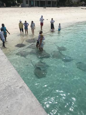 Malas Island View — photo 22