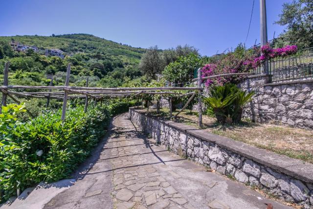 Villa Costanza sorrento B&b — photo 22