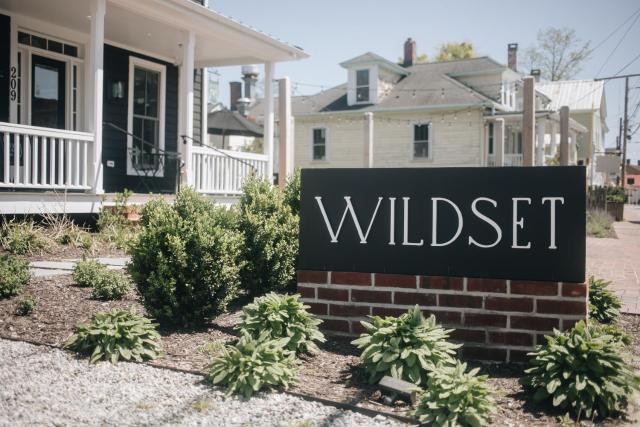 The Wildset — photo 8