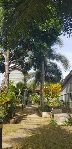 Khaolak Yama Resort - SHA Plus — photo 23