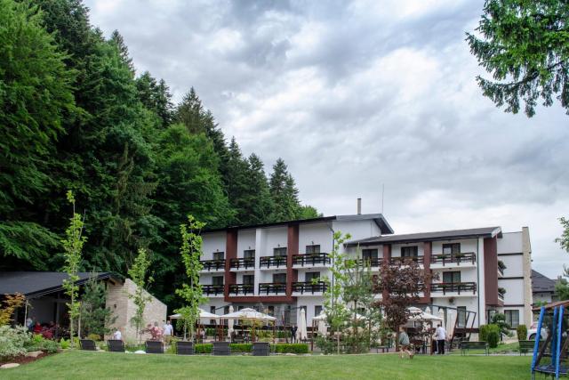 Piatra Pinului Ski & Spa in Romania