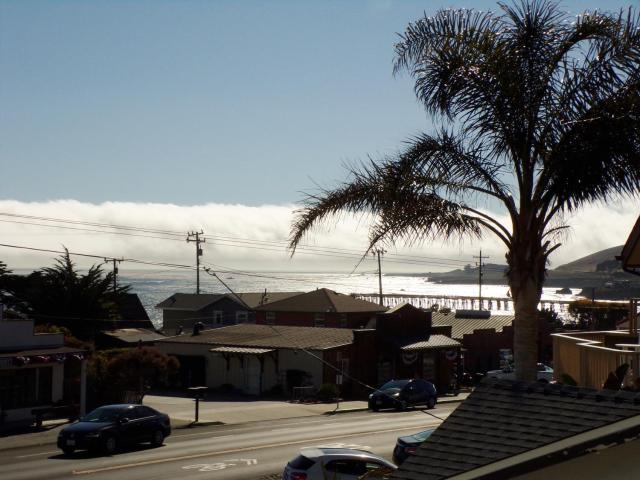 Cypress Tree Motel — photo 23