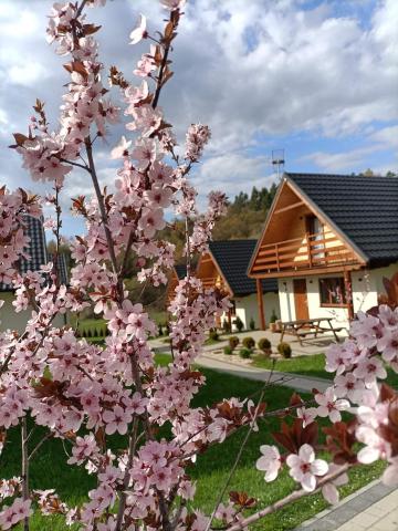 Osada Solina — photo 23
